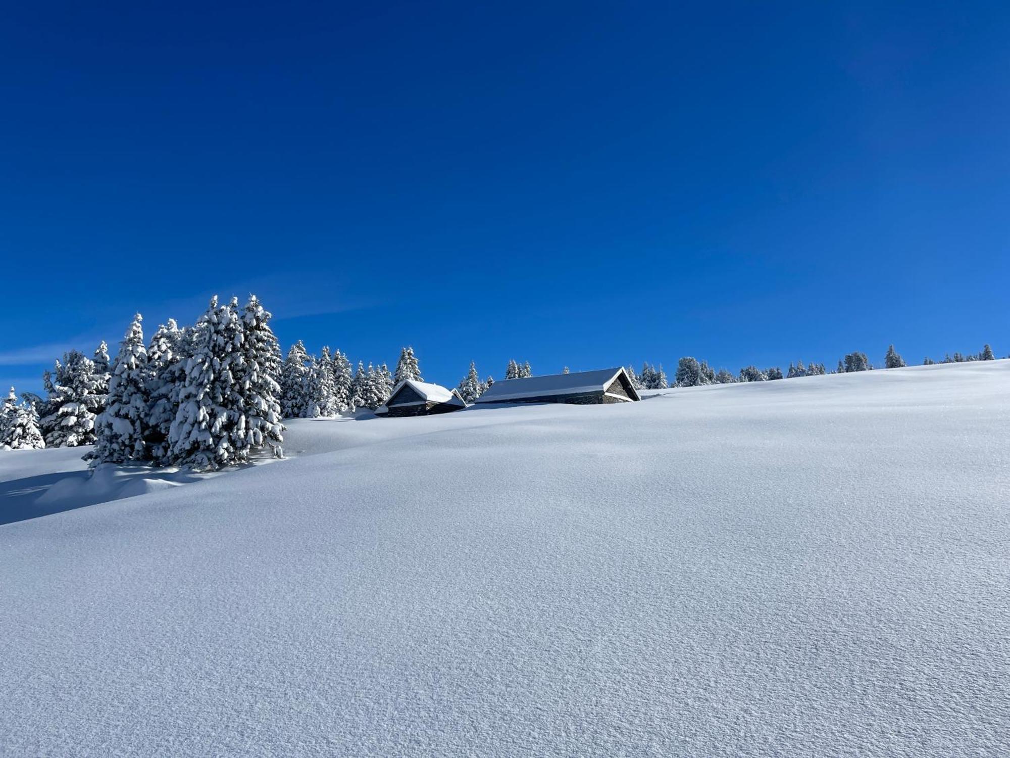 Ferienhaus Stockberghuesli Nesslau